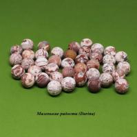 Бусина Яшма коричнево-белая гладкий матовый шар 14,5+- мм